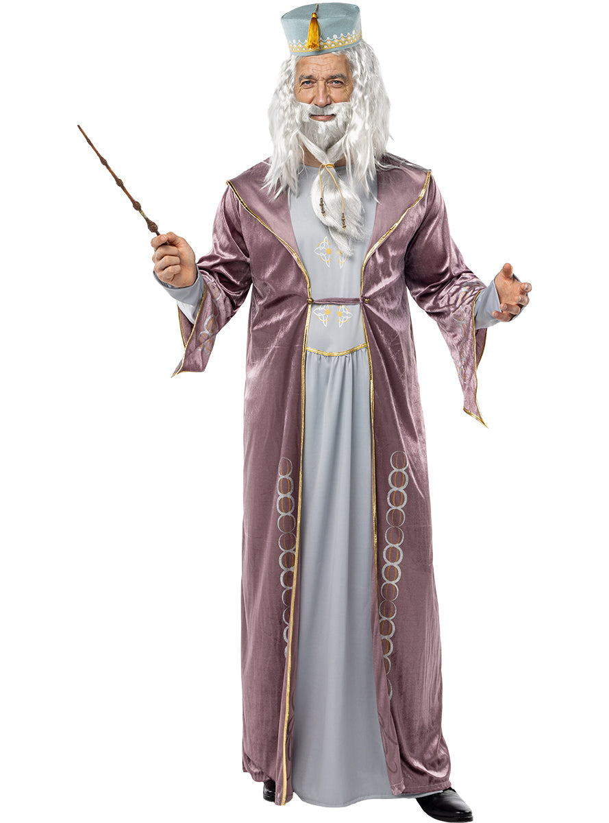 Dumbledore Wig and Beard - Harry Potter