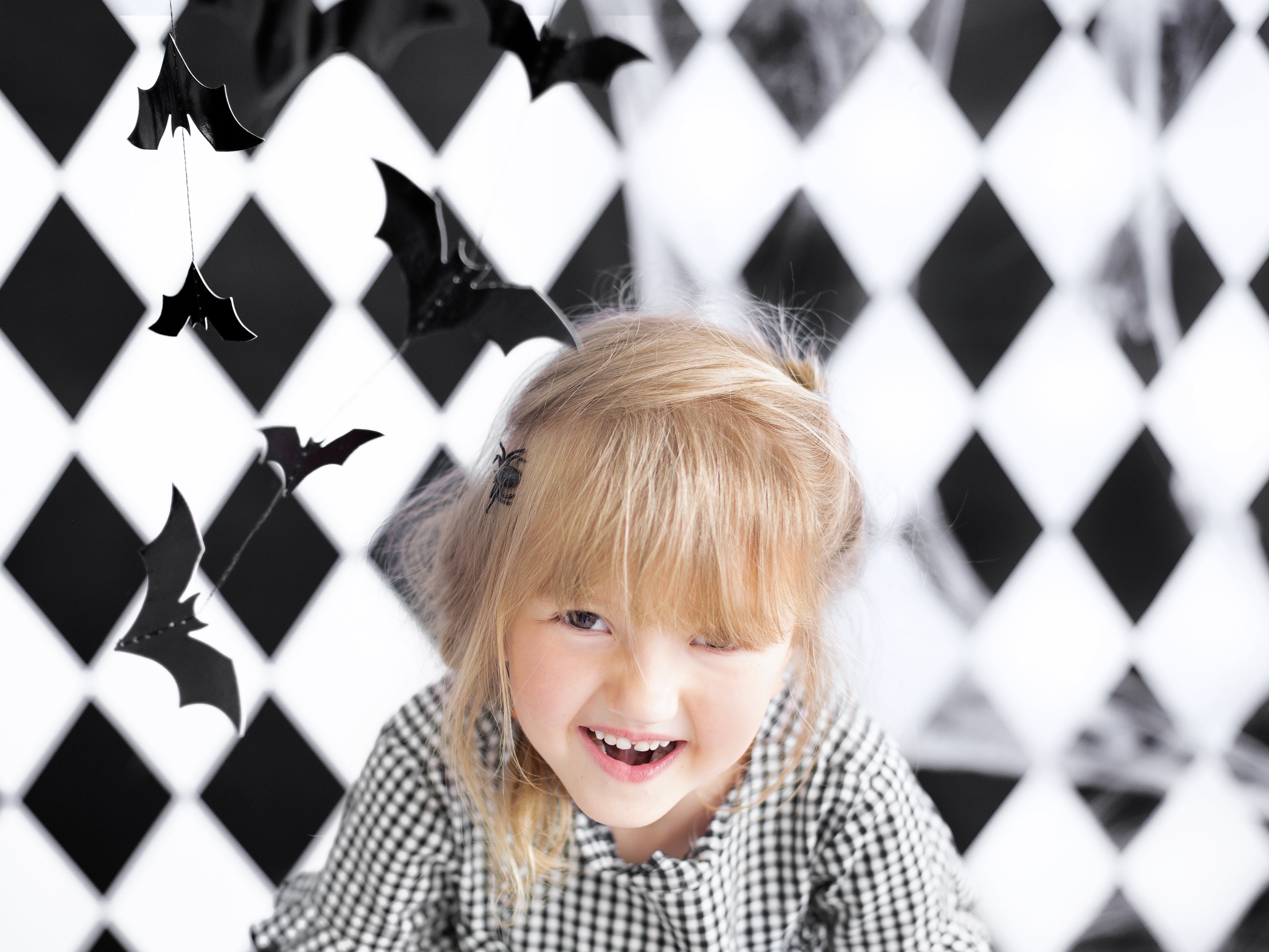 Bats Garland - Teminis.lt