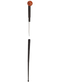 Cane with hidden daga