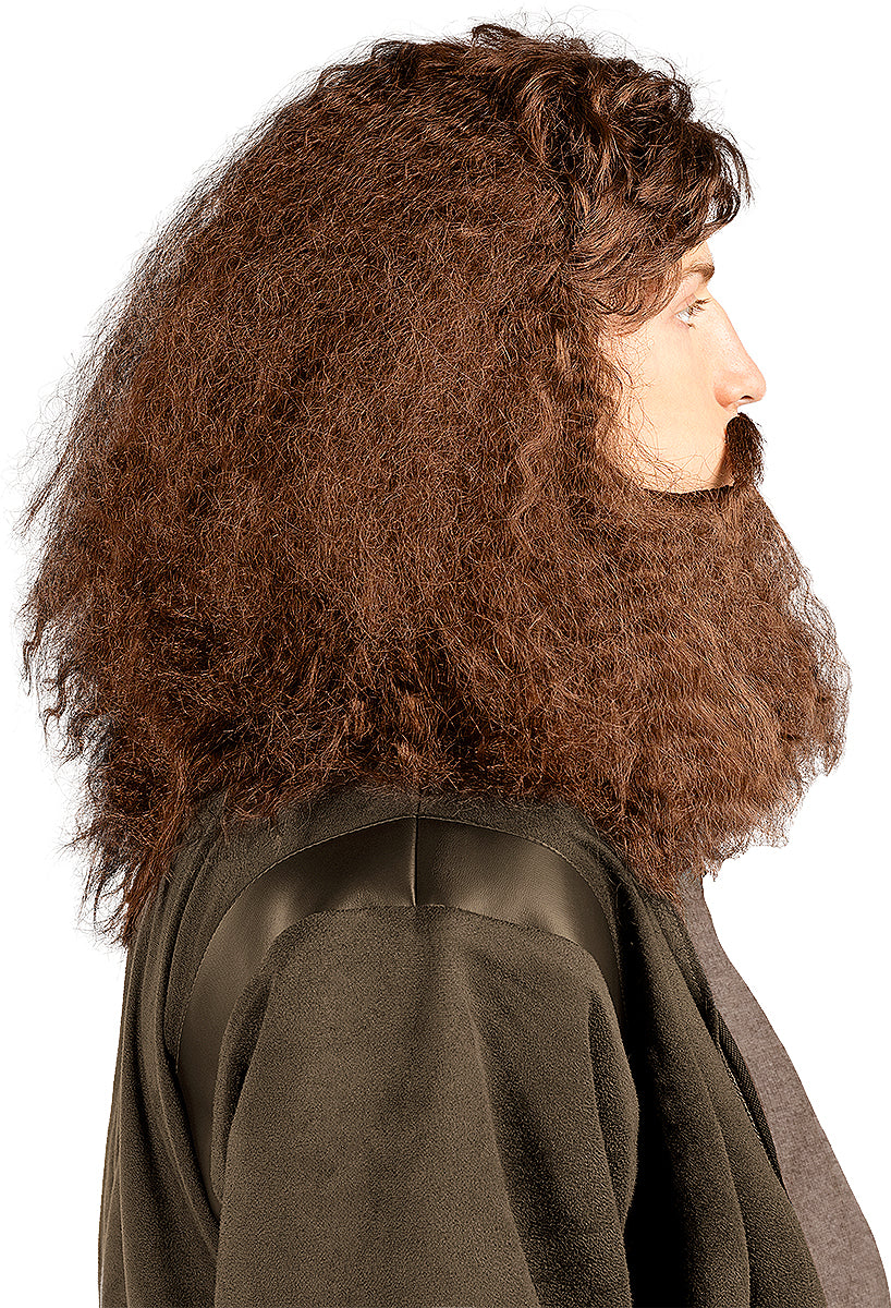 Hagrid Wig with Beard
