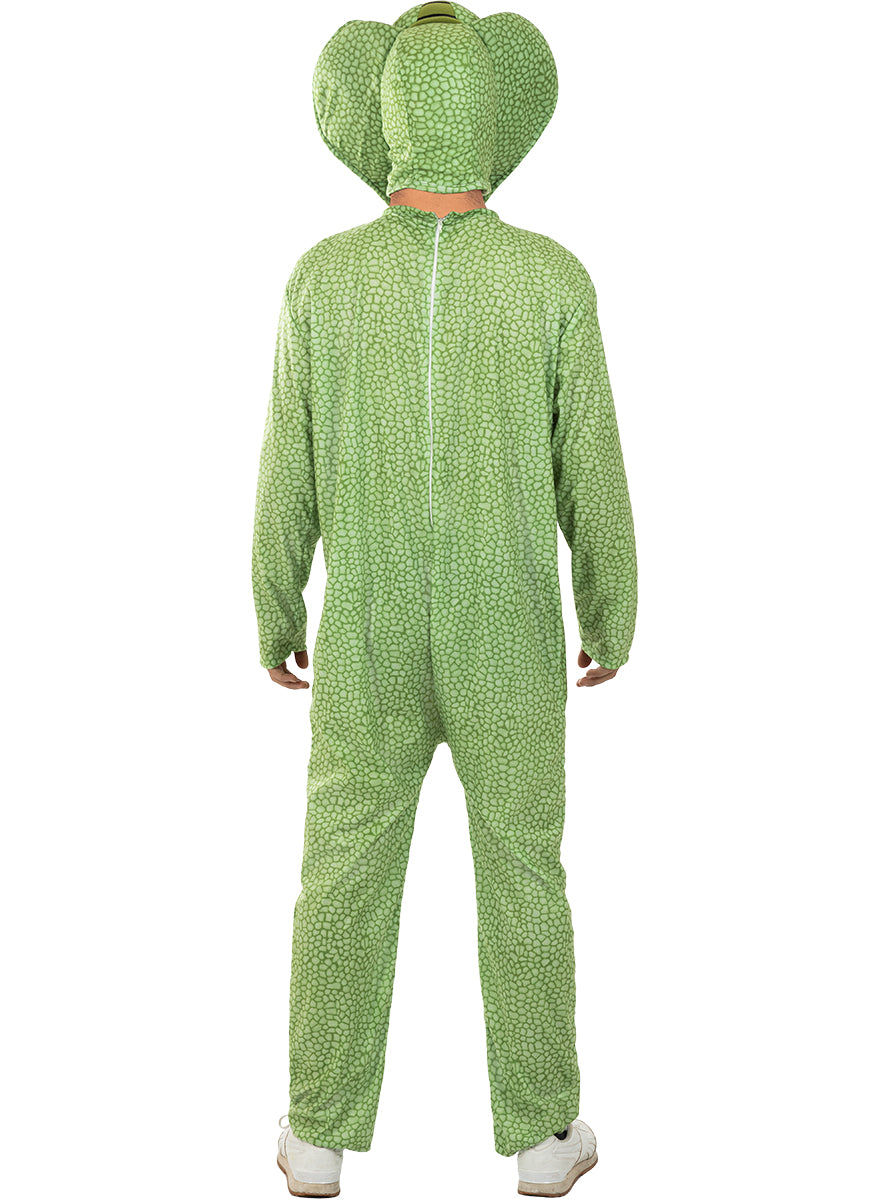 Snake Costume for Adults