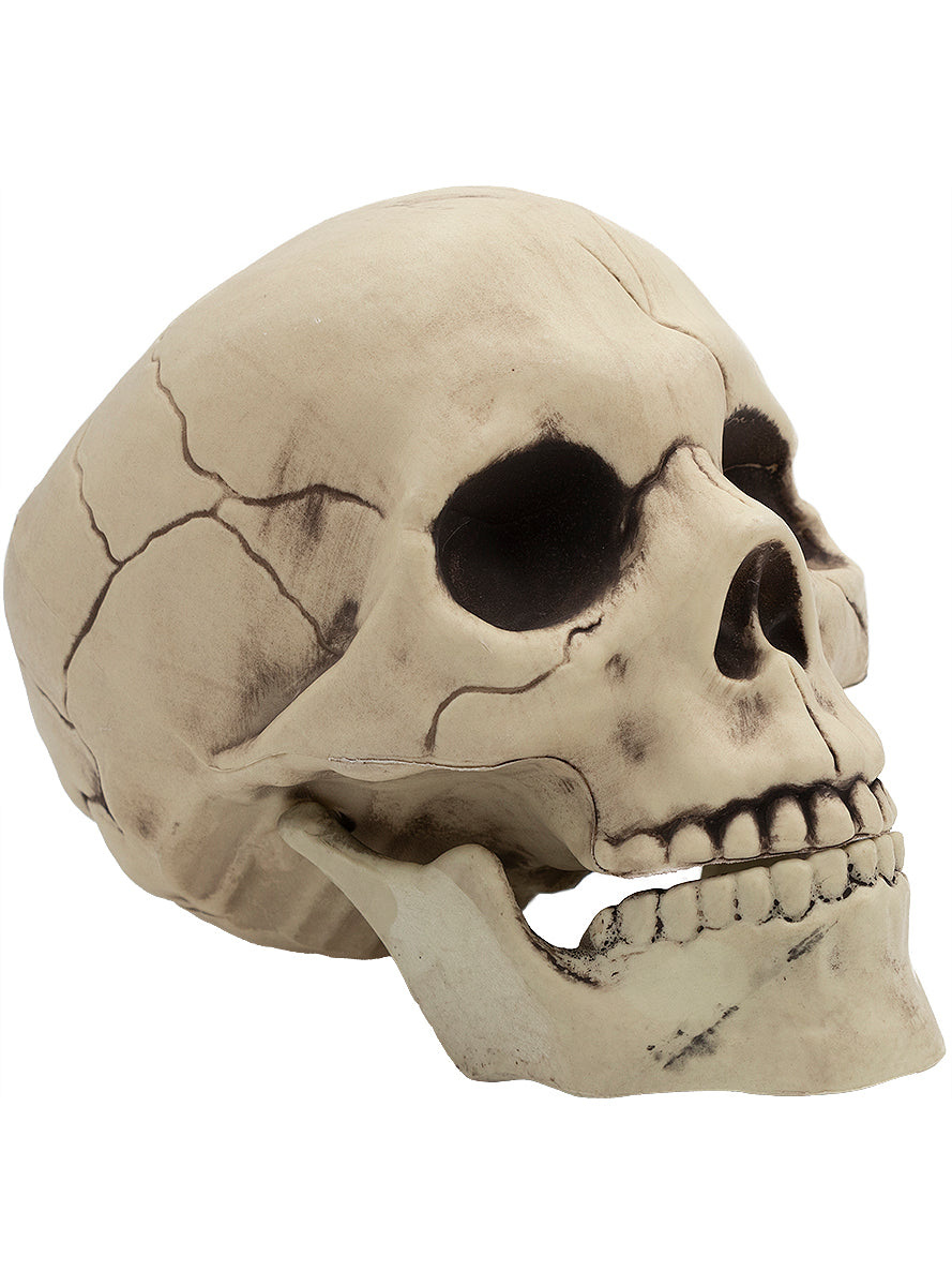 Decorative Halloween Skull