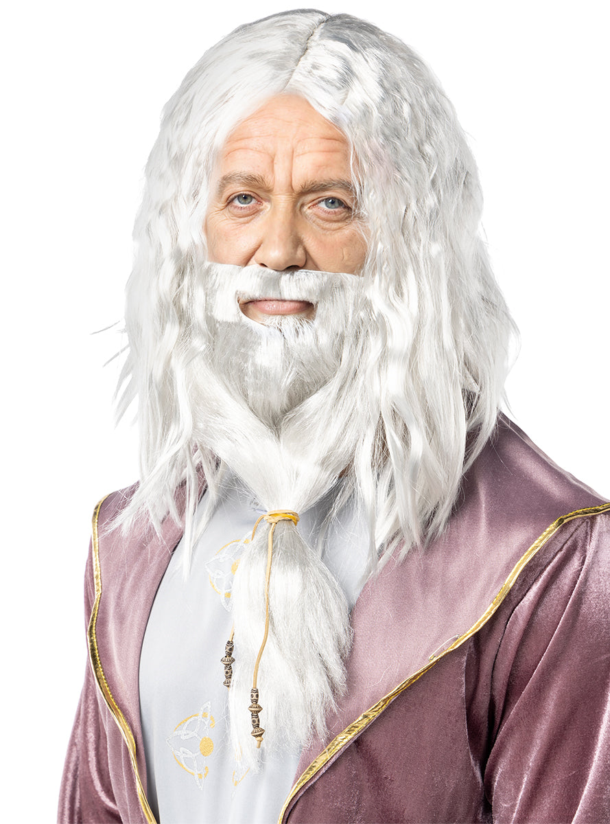 Dumbledore Wig and Beard - Harry Potter
