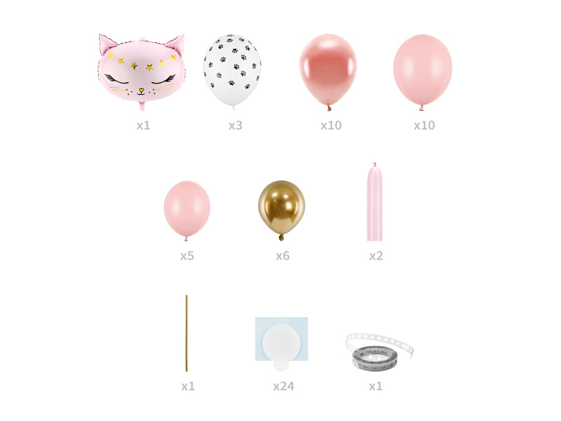 Balloon bouquet Cat - Teminis.lt