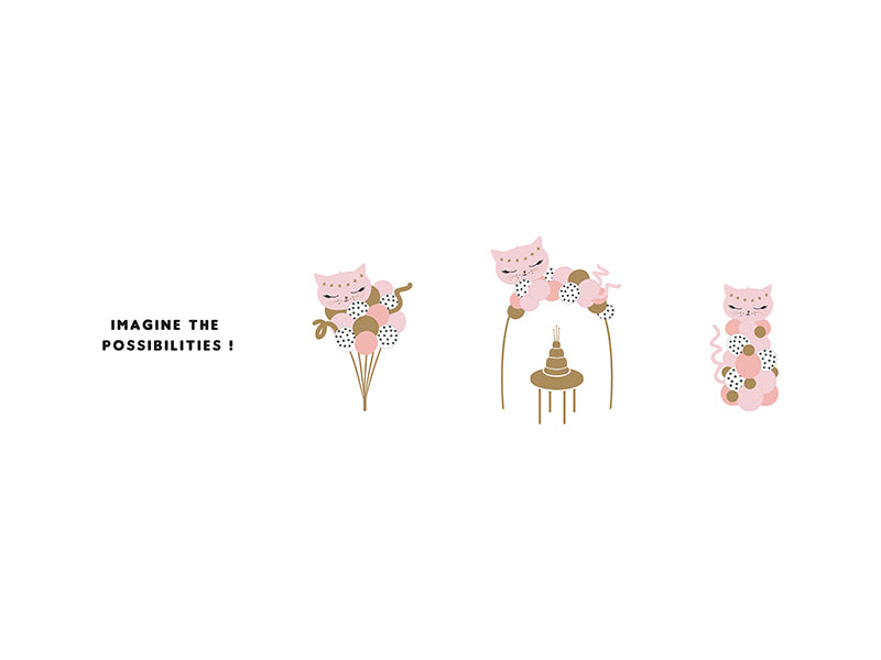 Balloon bouquet Cat - Teminis.lt