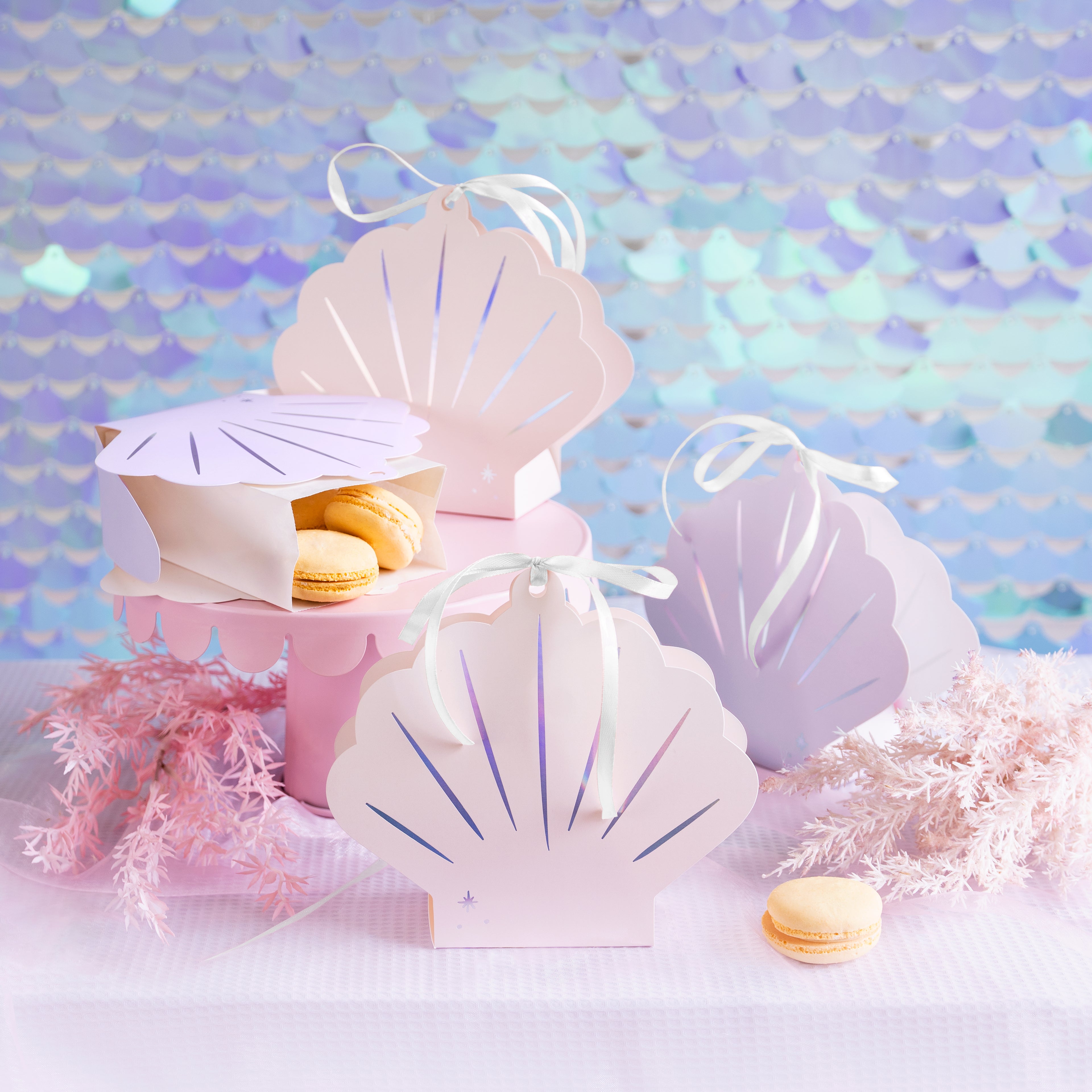 Boxes Seashell - Teminis.lt