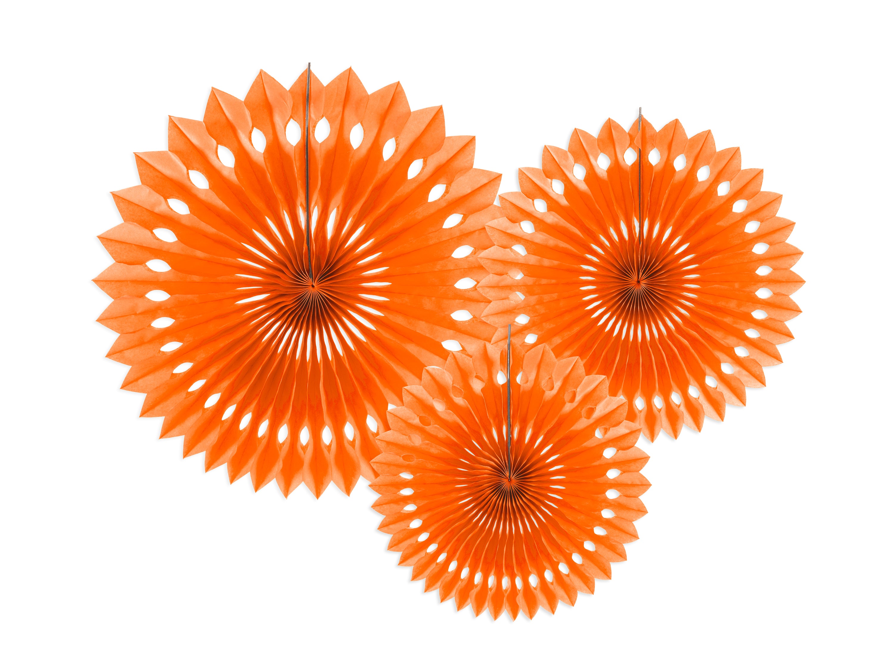 Decorative Rosettes - Teminis.lt