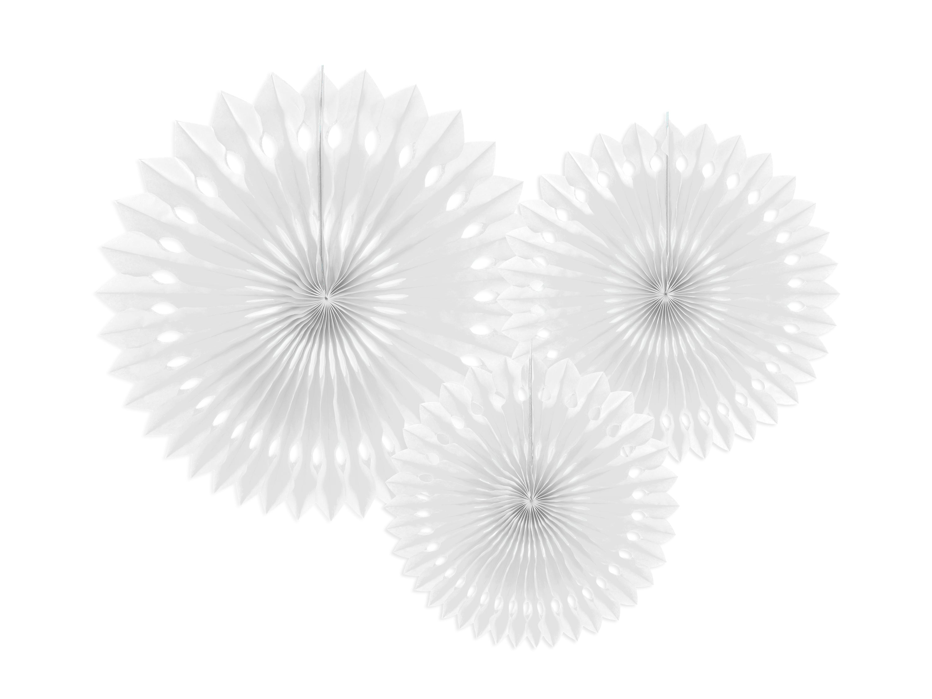 Decorative Rosettes - Teminis.lt