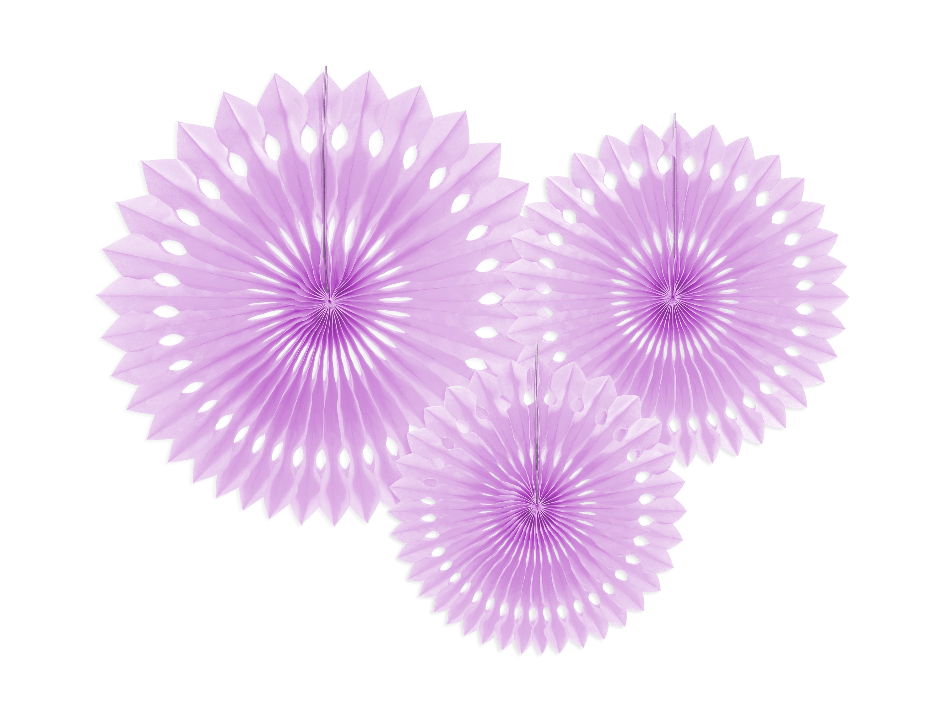 Decorative Rosettes - Teminis.lt