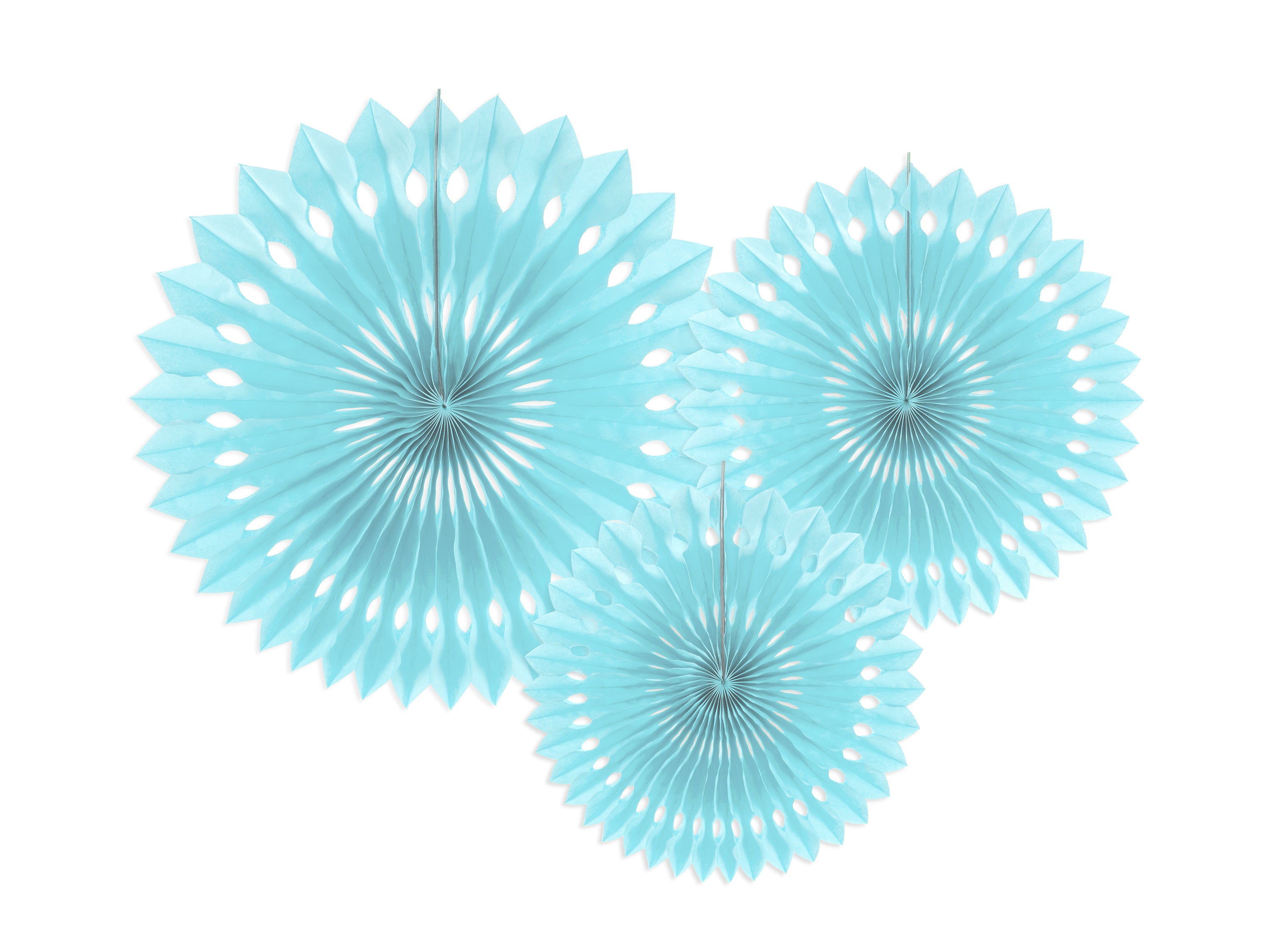 Decorative Rosettes - Teminis.lt
