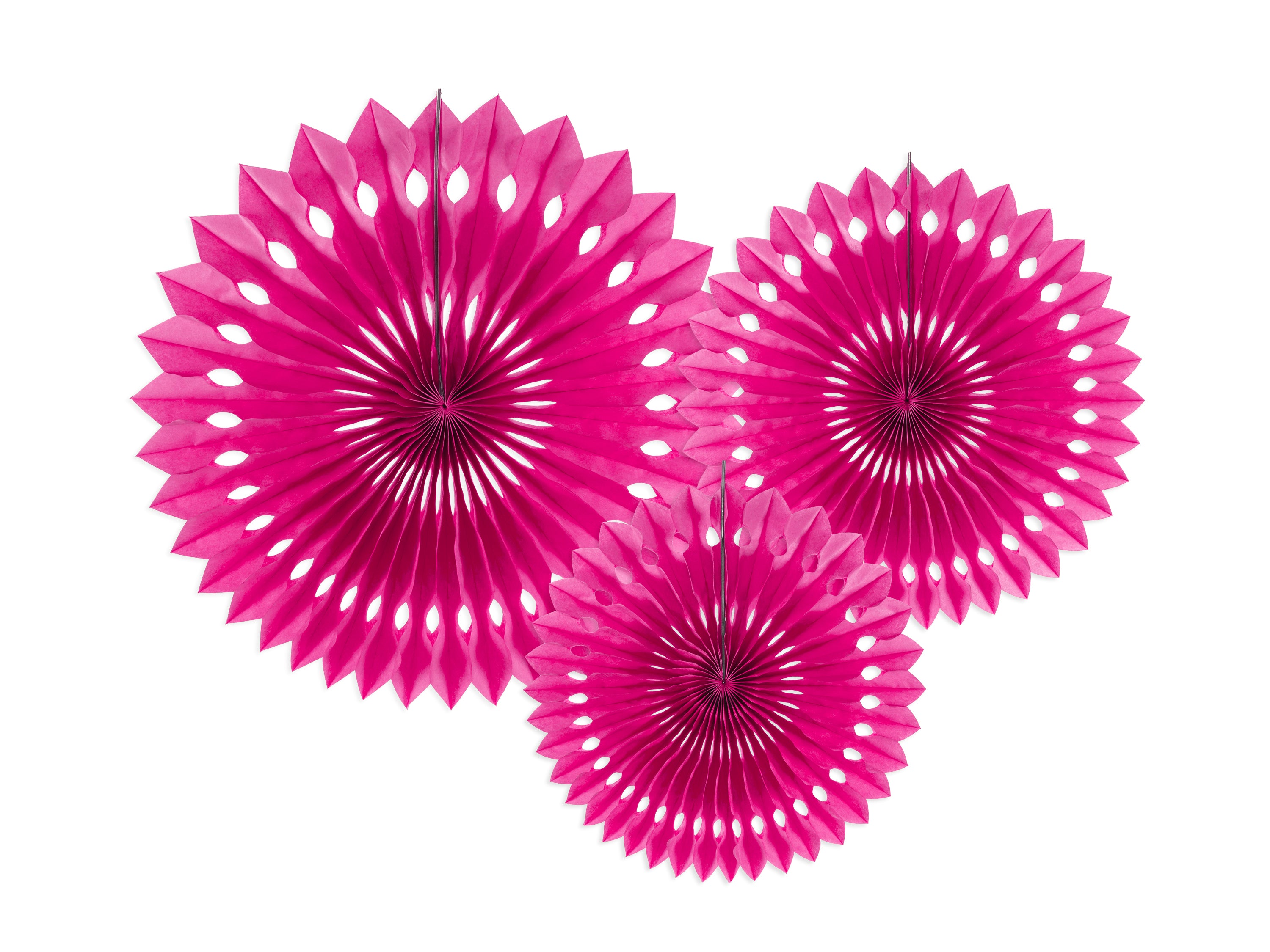 Decorative Rosettes - Teminis.lt