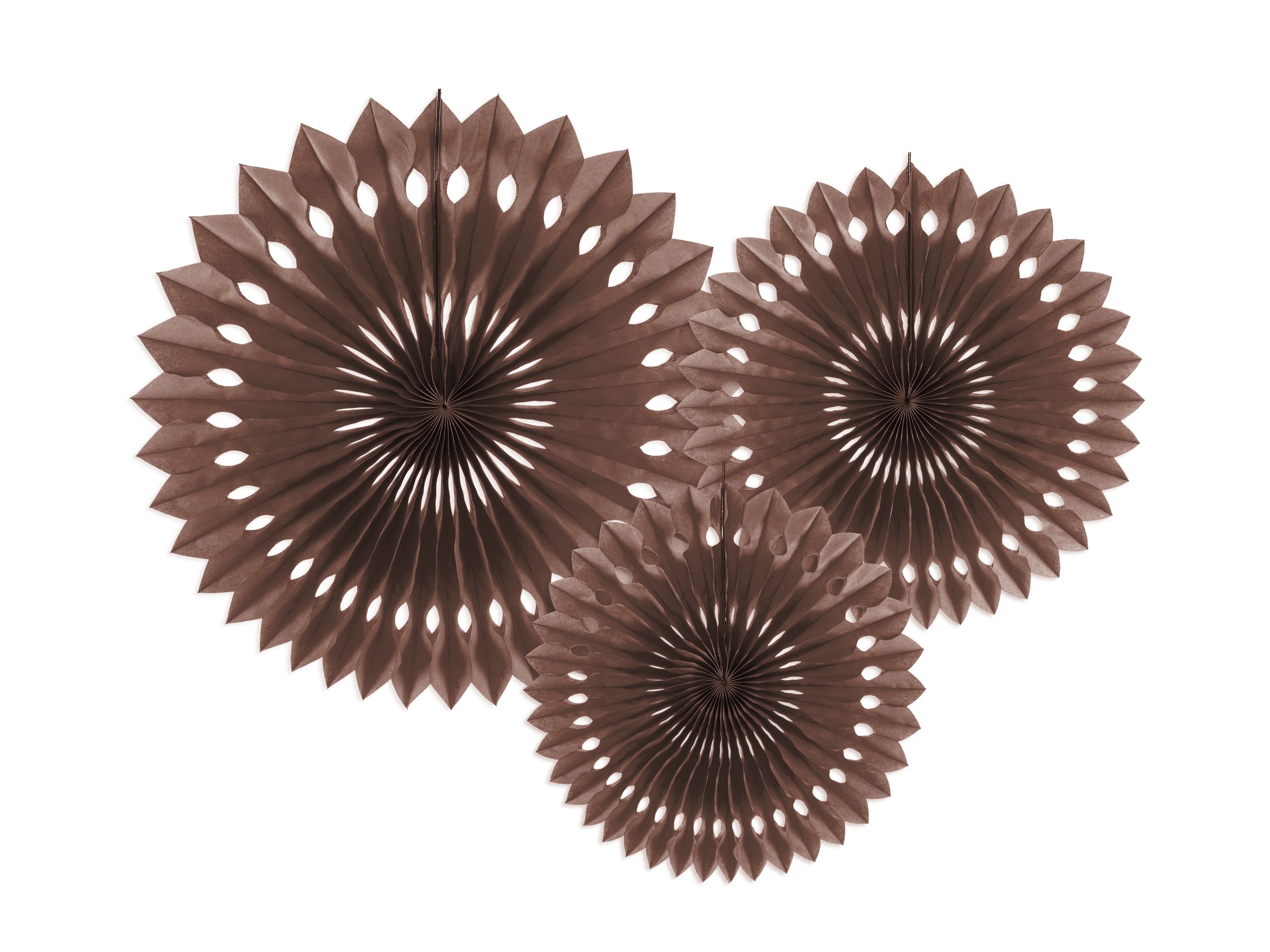 Decorative Rosettes - Teminis.lt