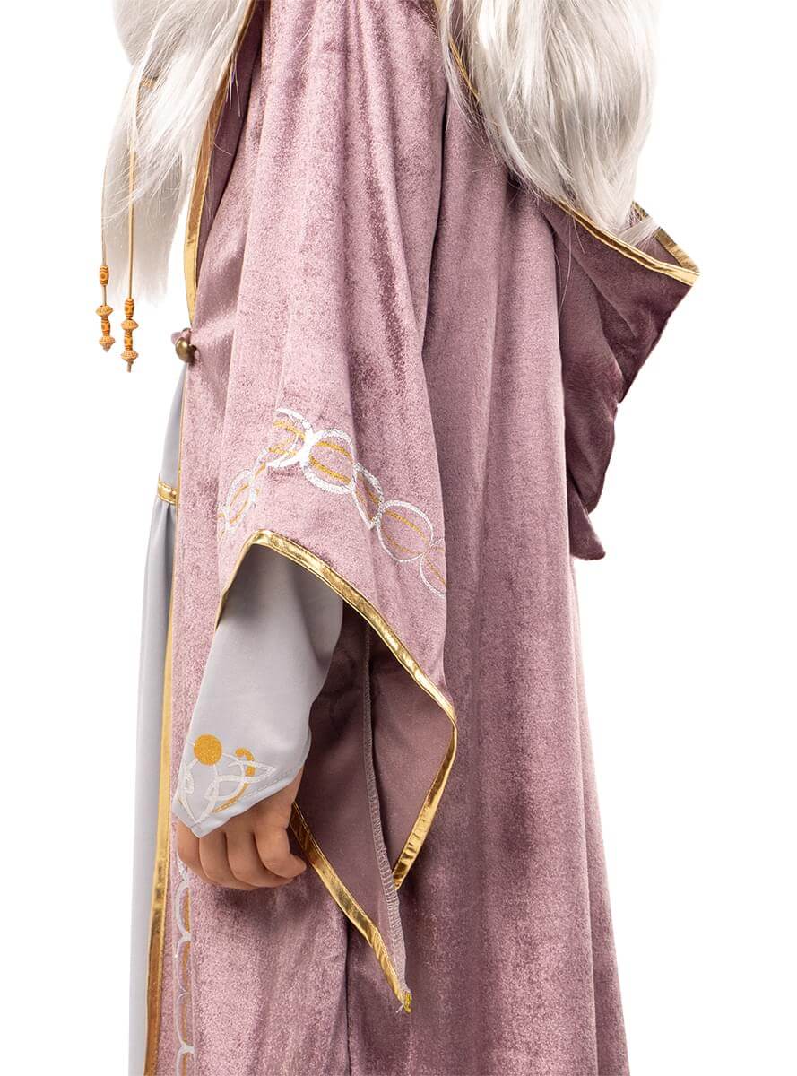 Kids Dumbledore Costume – Harry Potter Wizard Outfit Teminis.lt