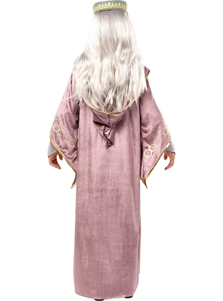 Kids Dumbledore Costume – Harry Potter Wizard Outfit Teminis.lt