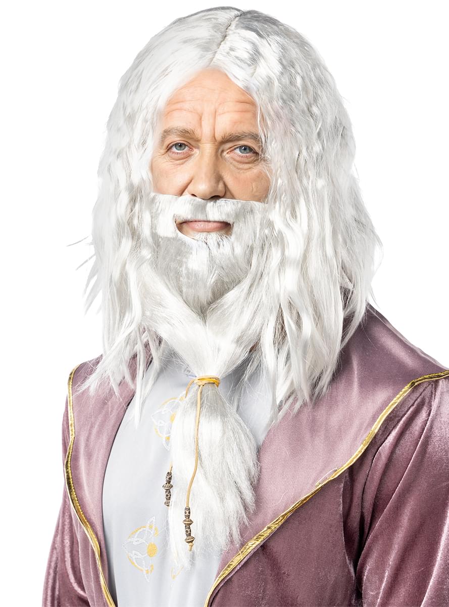 Dumbledore Wig and Beard - Harry Potter Teminis.lt