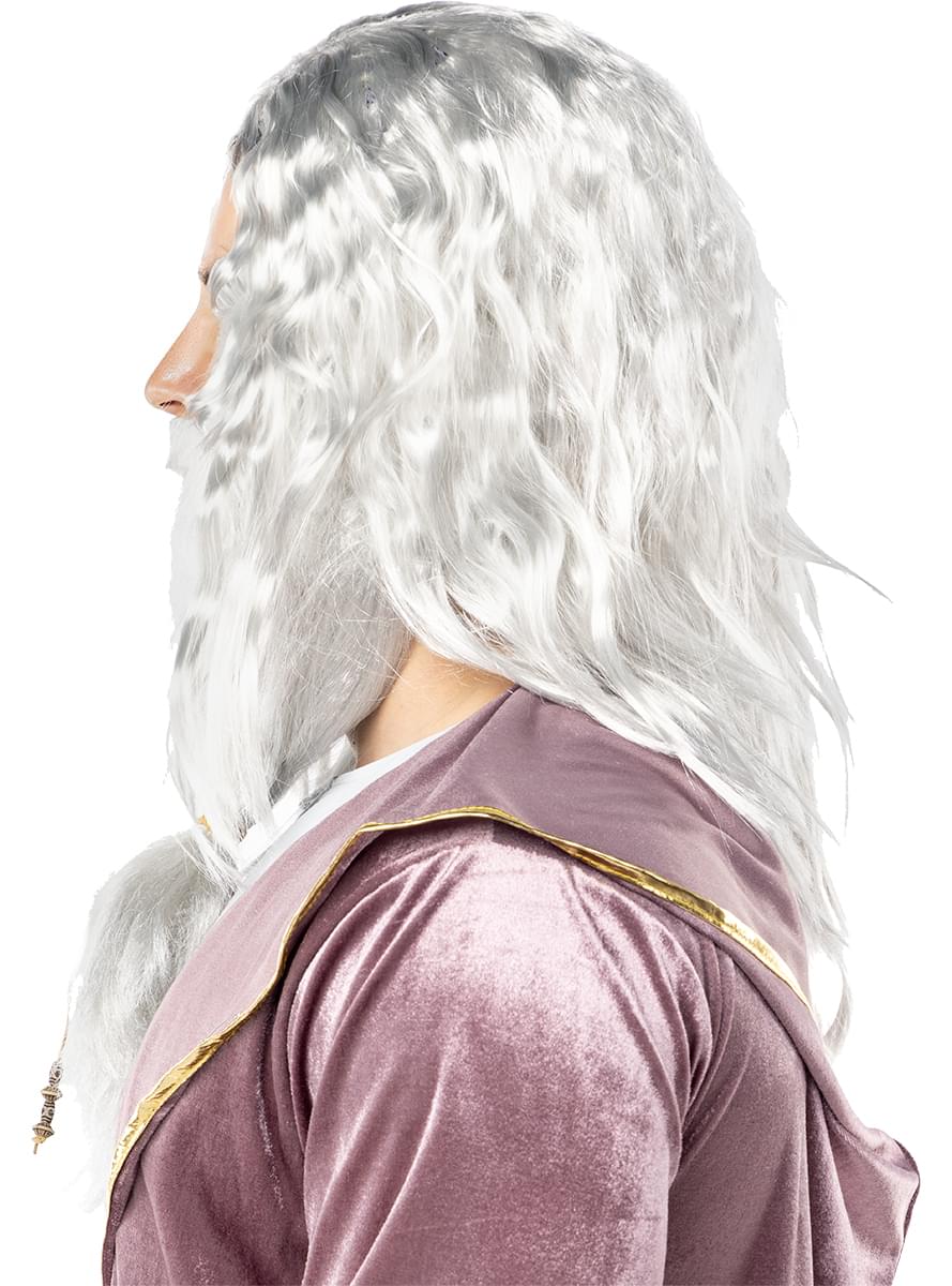 Dumbledore Wig and Beard - Harry Potter Teminis.lt