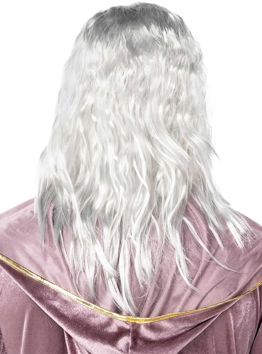 Dumbledore Wig and Beard - Harry Potter Teminis.lt