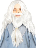 Dumbledore Wig and Beard for Kids - Harry Potter Teminis.lt