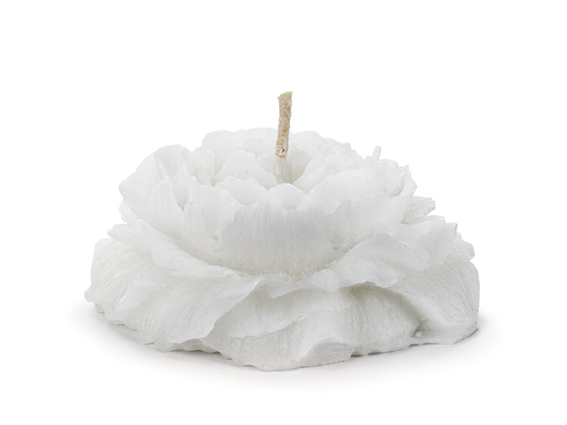 Floating candle peony - Teminis.lt