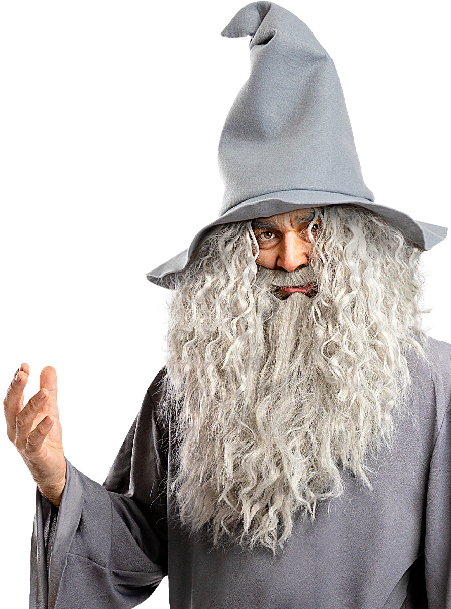 Gandalf Wig with Beard - Lord of the Rings Teminis.lt