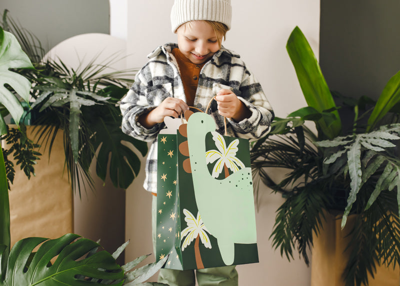 Gift bag Dinosaur - Teminis.lt