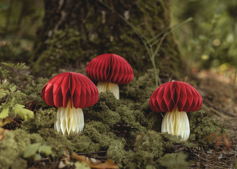 Honeycomb paper decoration Mushroom - Teminis.lt