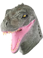 Dinozauro kaukė