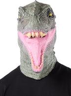 Dinozauro kaukė