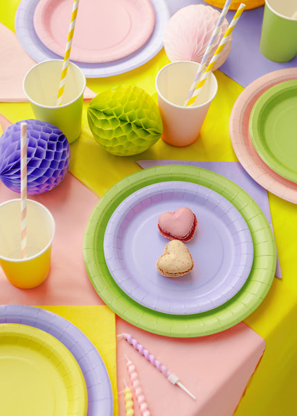 Paper Plates 18 cm - 23 cm - Teminis.lt