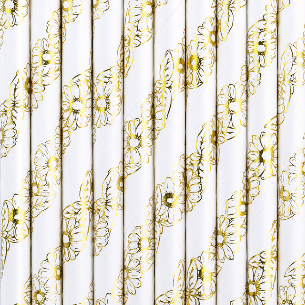 Paper Straws - Teminis.lt