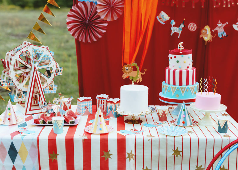 Paper Tablecloth - Teminis.lt