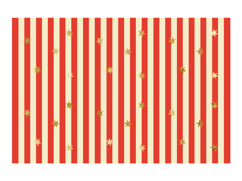 Paper Tablecloth - Teminis.lt