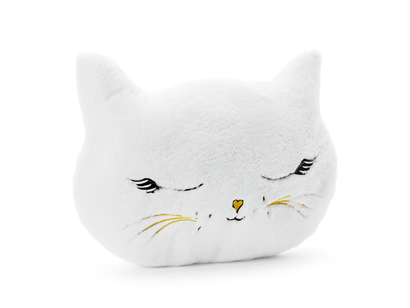 Pillow Cat - Teminis.lt