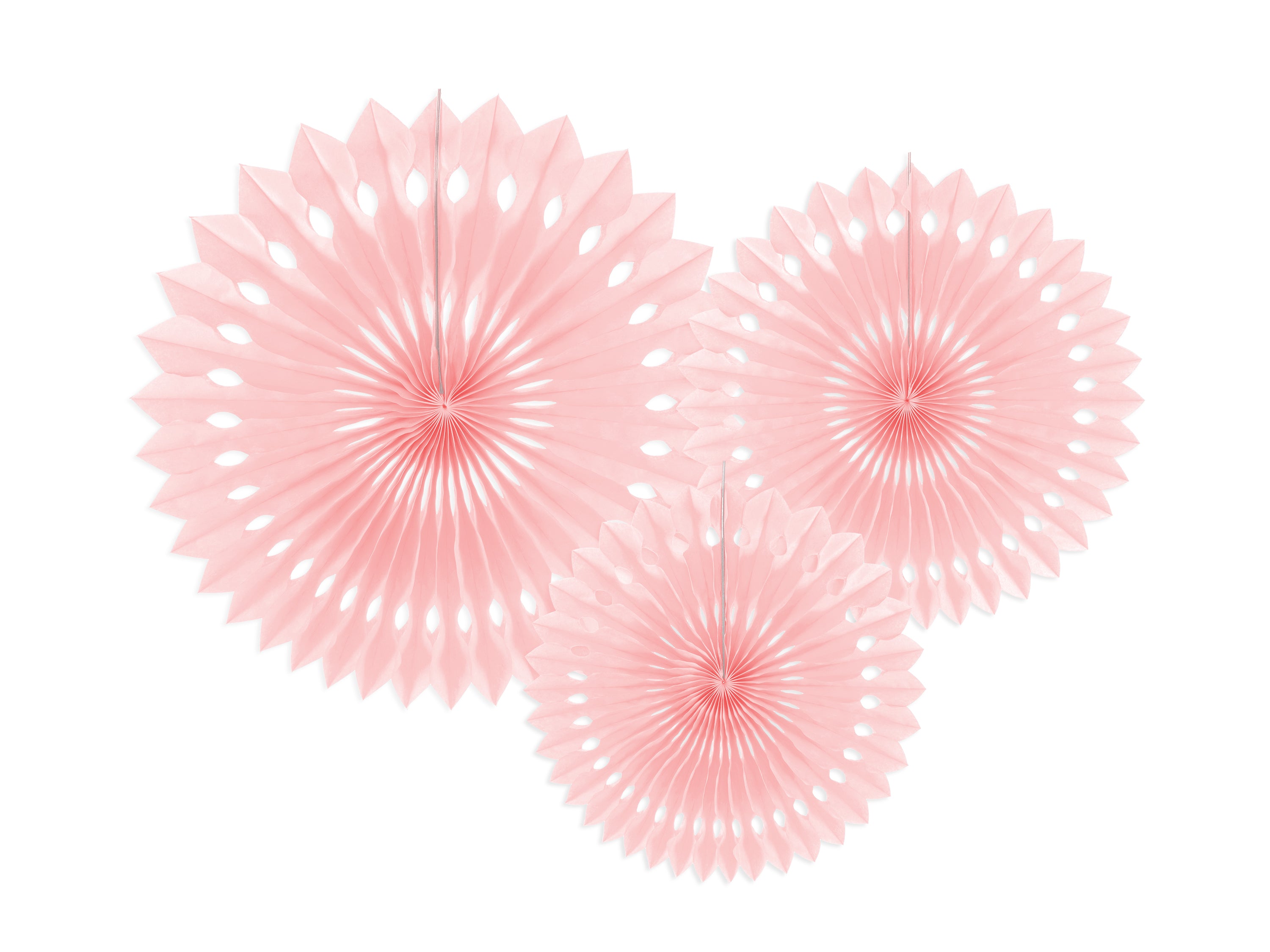 Decorative Rosettes - Teminis.lt