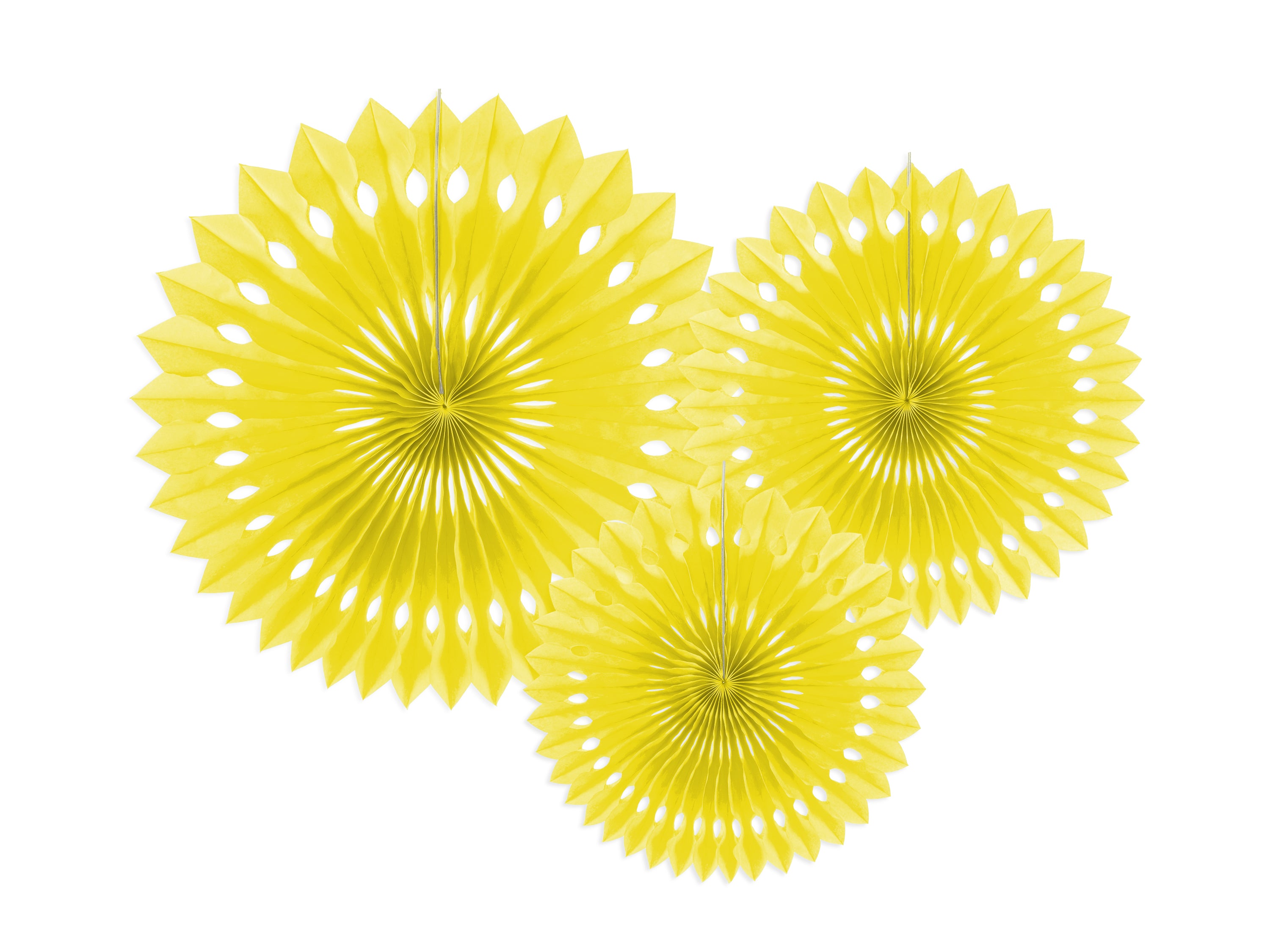 Decorative Rosettes - Teminis.lt
