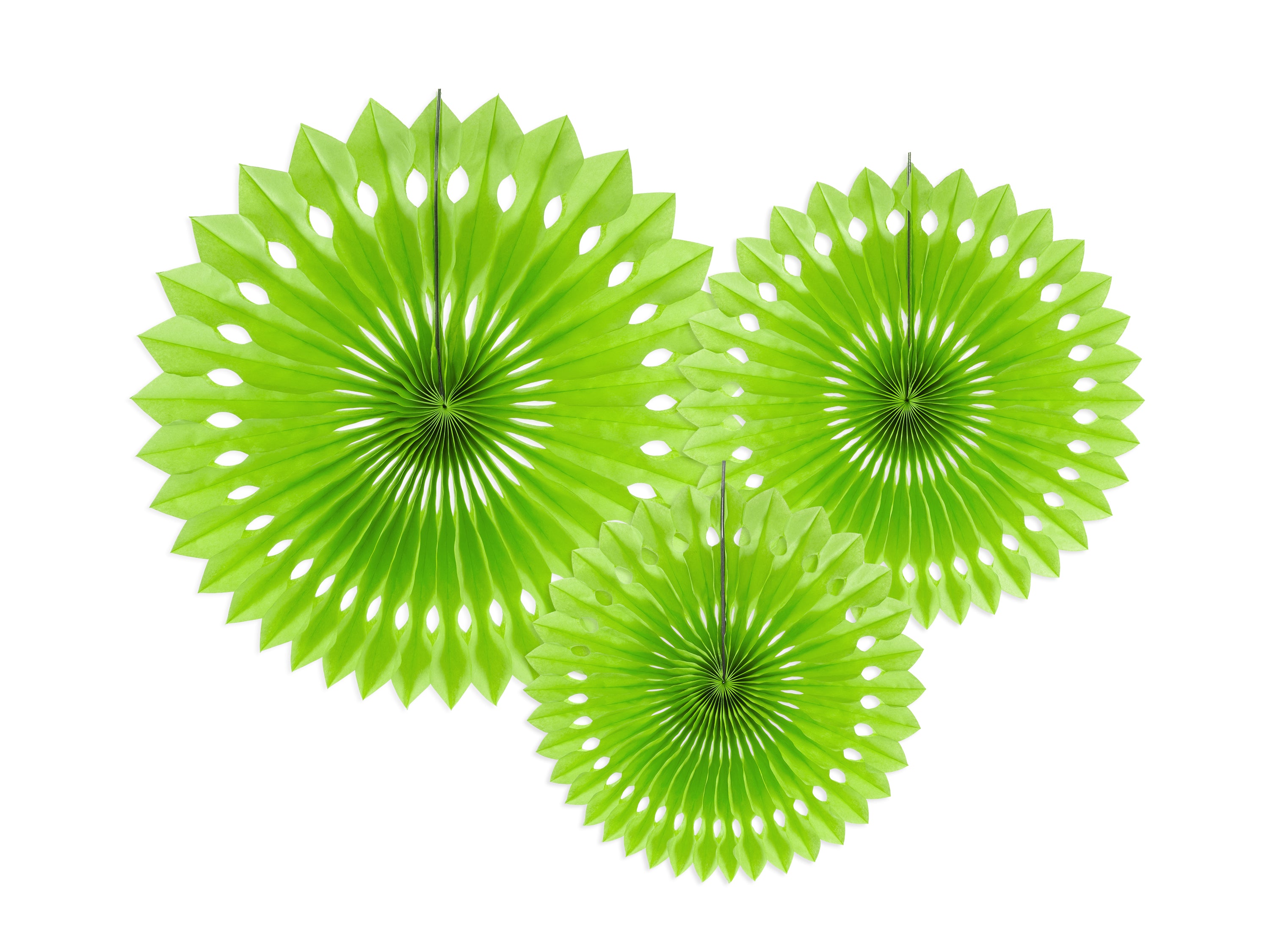 Decorative Rosettes - Teminis.lt
