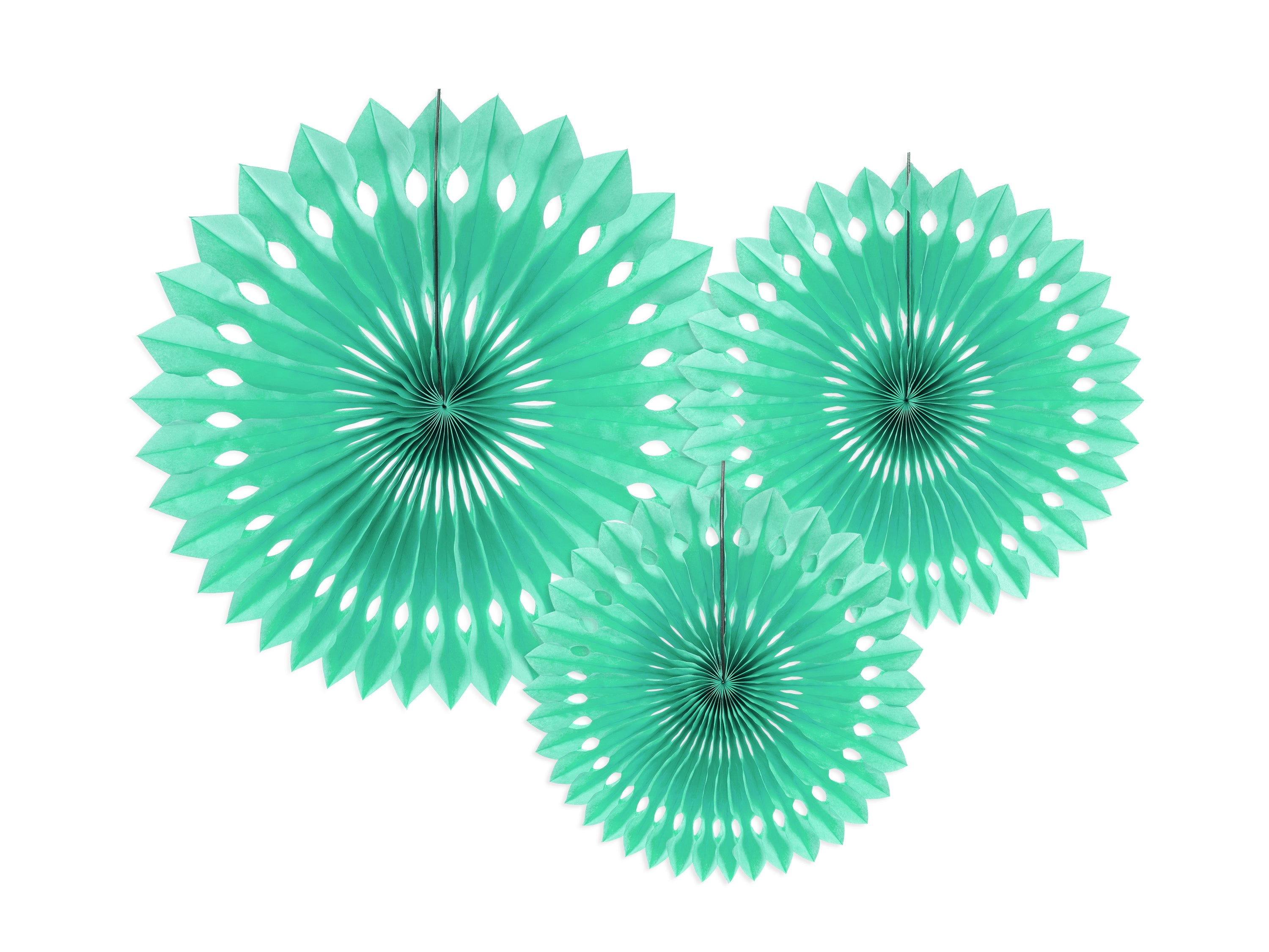Decorative Rosettes - Teminis.lt