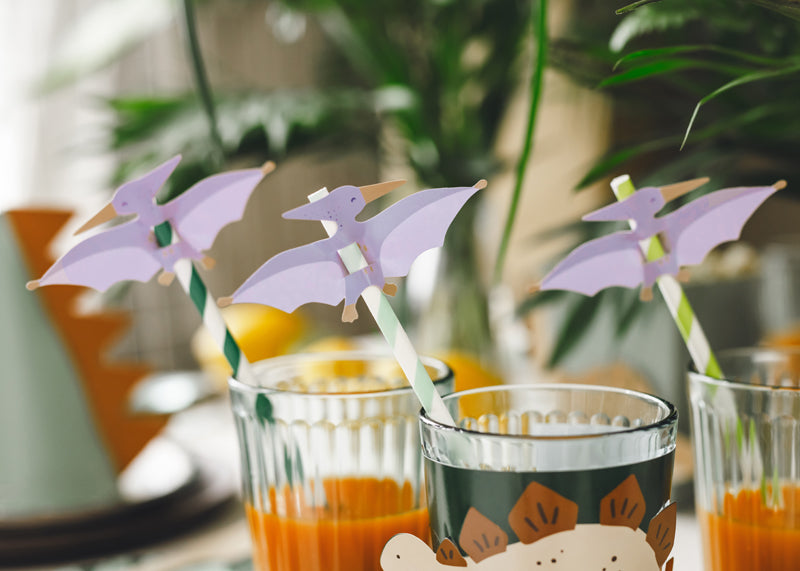 Straws Pterodactyl - Teminis.lt