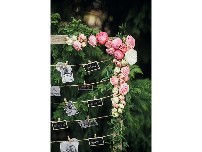 Wooden Pegs, natural wood - Teminis.lt