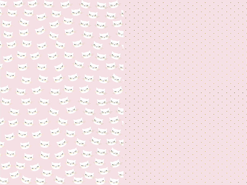 Wrapping paper Cat - Teminis.lt
